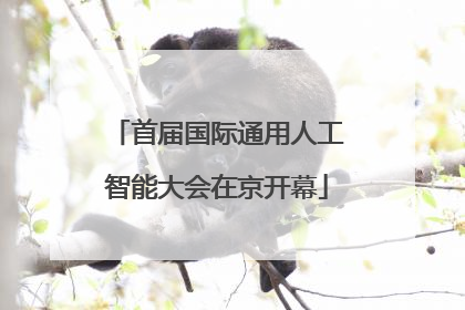 首届国际通用人工智能大会在京开幕